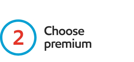 Choose premium gas icon